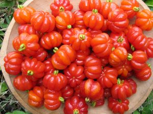 Photo by M. Hermann/ Bioversity International @Flickr