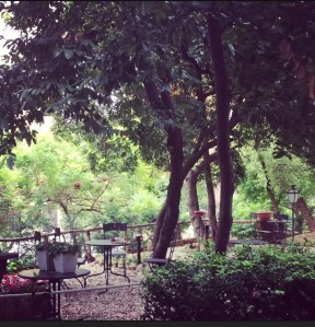 Cosy garden in boutique hotel Villa Mangili in Rome.